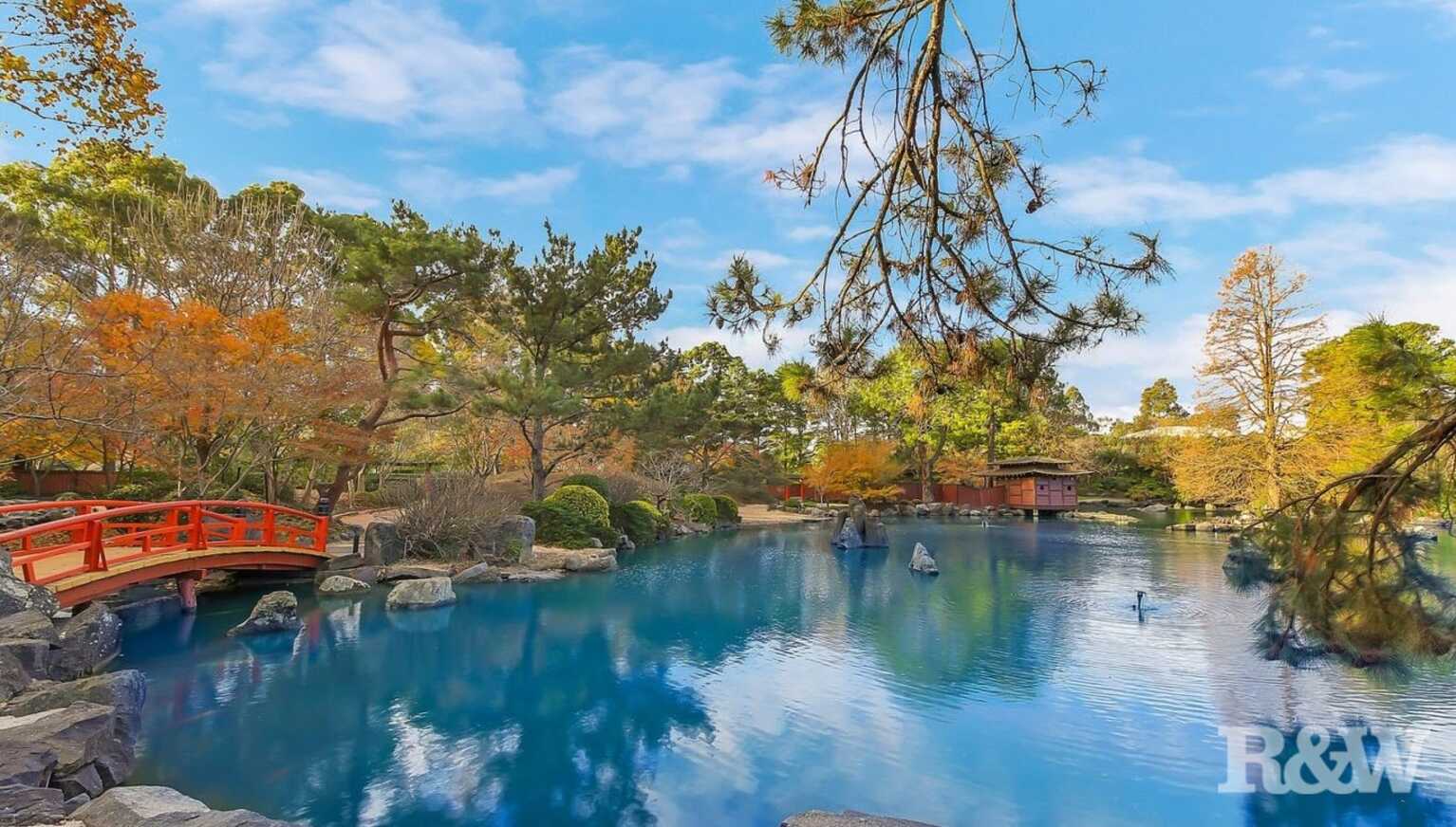 16 Beaumont Street Auburn