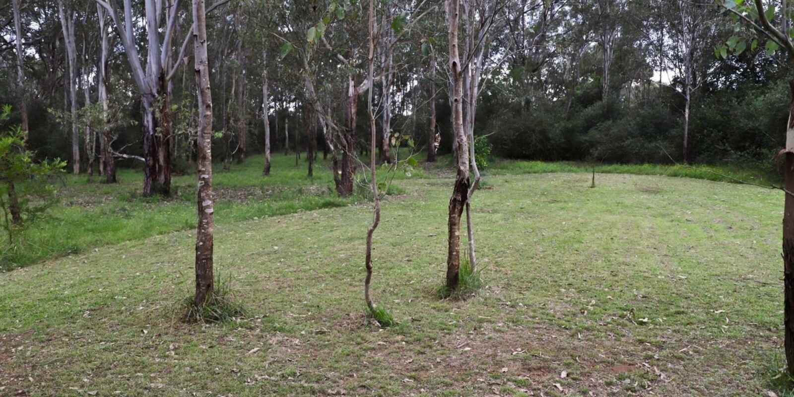 42 Belmore Road Bringelly